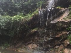 -少华山国家森林公园