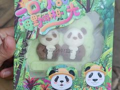 -海南热带野生动植物园