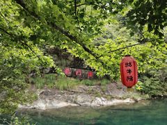 -石台牯牛降景区