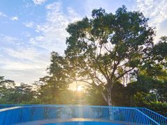 -人民公园(罗湖区)