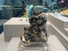 -湖南省地质博物馆