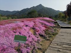 -昆嵛山石门里景区