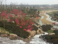-秀丽东方