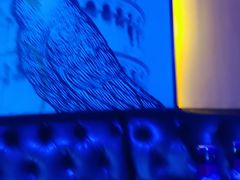 -欢乐迪KTV(泉秀店)