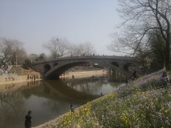 -赵州桥景区