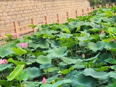 -中央戏剧学院(昌平校区)