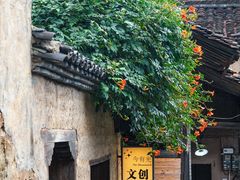 -杨家堂村