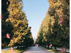 -天坛公园