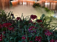 -大妙火锅·非物质文化遗产(东湖公园店)