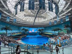 -海合安成都极地海洋公园