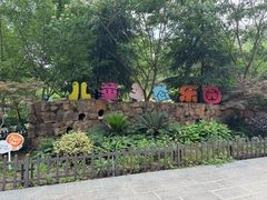 -合肥滨湖国家森林公园