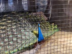 -酷嗒动物文化乐园(cutezoo西溪乐天城店)