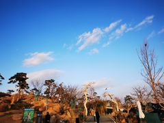 -罗红摄影艺术馆