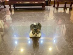 -Daorae Korean BBQ Tanjung Tokong