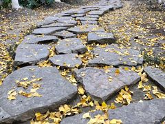 -花溪公园