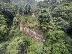-青城山