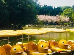 -川沙古镇-停车场