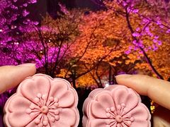 -珈境湖畔餐厅·湖北菜·江浙菜•樱花季(西北湖店)