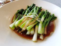 -三利音·浦之舟(滨江大道店)