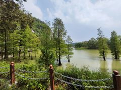 -星湖旅游景区七星岩