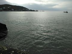 -枸杞岛