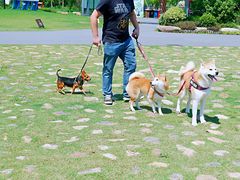 -上海长兴岛郊野公园