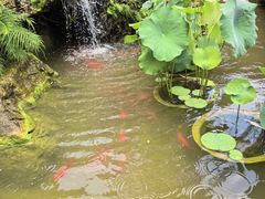 -耕渔小院·湖南鱼鲜(望城店)