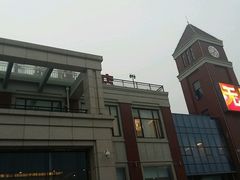 -小李子油焖大虾(天下城旗舰店)