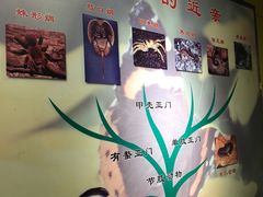 -上海昆虫博物馆