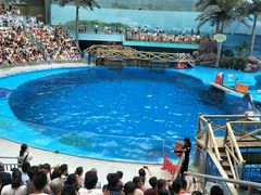 -海合安成都极地海洋公园