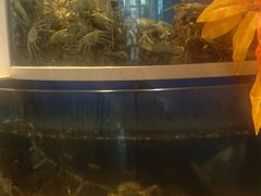 -海天盛宴新派海鲜自助餐厅(群力店)