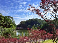 -广州市帽峰山景区