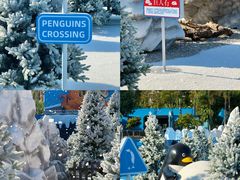 -汕头中海黄金海岸水上乐园