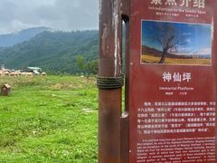 -硗碛藏寨·神木垒景区