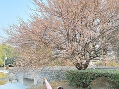 -国际非物质文化遗产博览园