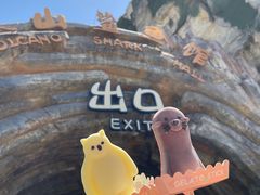 -上海海昌海洋公园