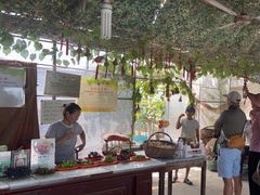 -马陆小张葡萄园农家乐