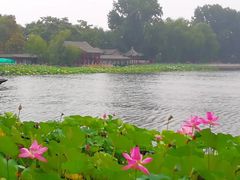 -后海公园