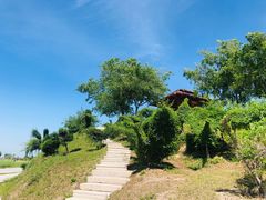 -黑龙江扎龙生态旅游区