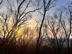 -帽儿山国家森林公园