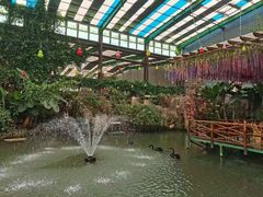 -第五季龙水凤港生态露营农场