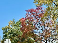 -万达影城(银兴菲林店)