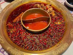 -哥老官重庆美蛙鱼头(宝山龙湖店)