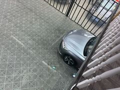 -天猫养车贴膜轻改·蓝电(优匹康桥东路店)