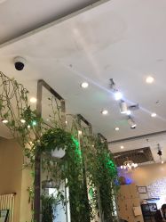 -卡尔诗·科技美肤连锁