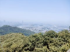 -紫金山山顶公园