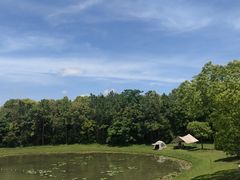 -上海海湾国家森林公园