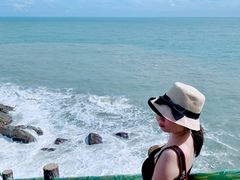 -广东惠东海龟国家级自然保护区