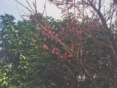 -杭州第一世界大酒店·云曼温泉