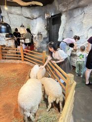 -Zoolung Zoolung动物主题公园(海信广场店)